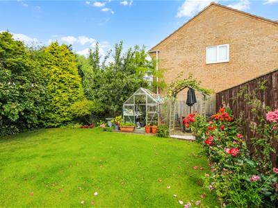 Picture 13